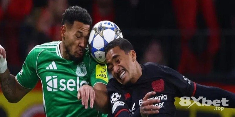 8XBET - app 8xbet tốt nhất