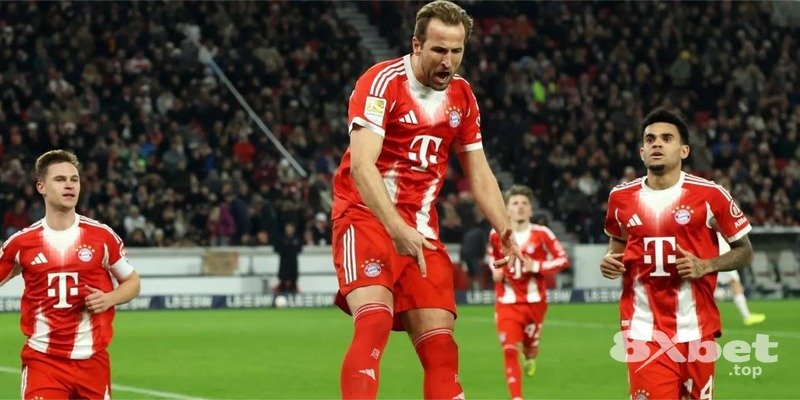 8XBET - top88 link thay thế