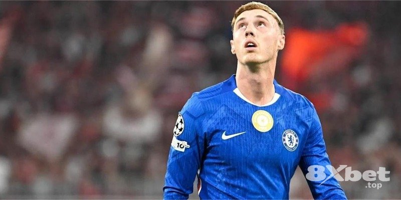 8XBET - hoàn tiền mỗi ngày