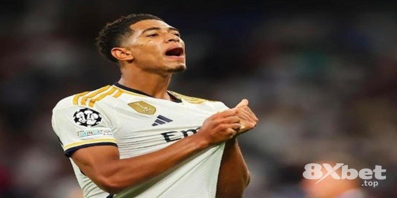 8XBET - chiến lược cá cược đua xe