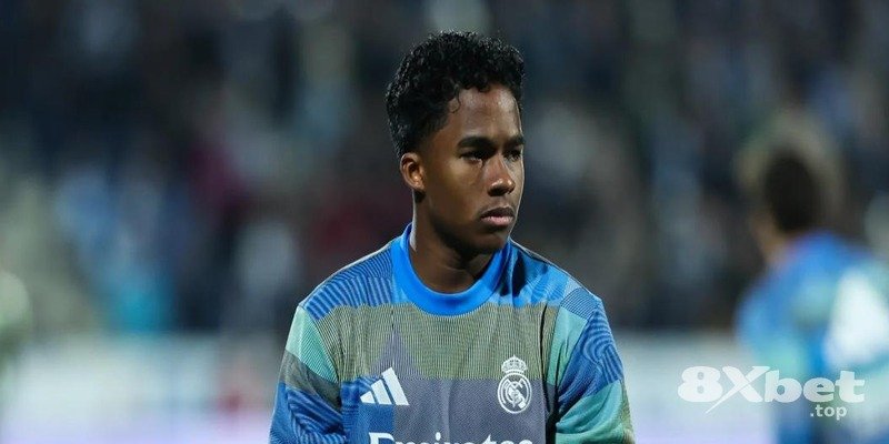 8XBET - hoàn tiền cá cược