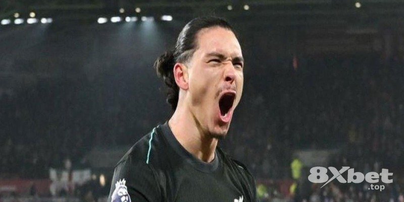 8XBET - cá cược cầu lông miễn phí