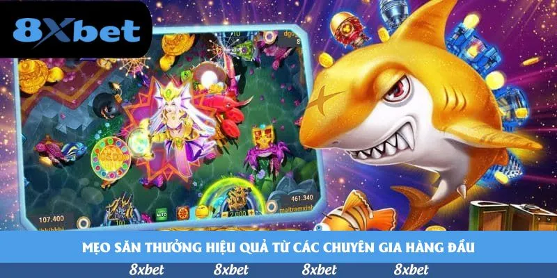 8XBET - khuyến mãi miễn phí