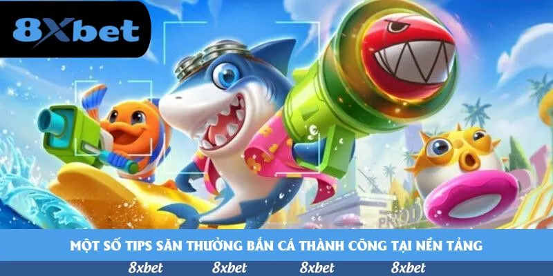 8XBET - đánh giá cá cược bóng rổ