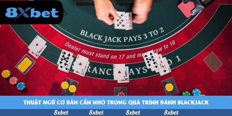8XBET - nhà cái vn88