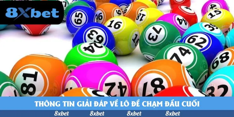 8XBET - đánh bạc mẹo