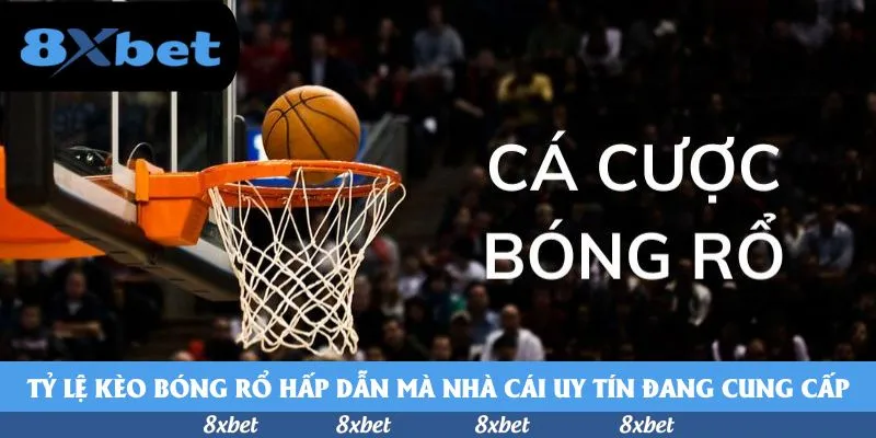 8XBET - cá cược bóng chuyền thực tiền