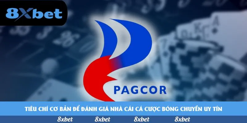 8XBET - cá cược bóng chuyền thực tiền