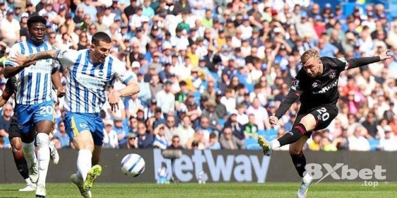 8XBET - nhận bonus ngay