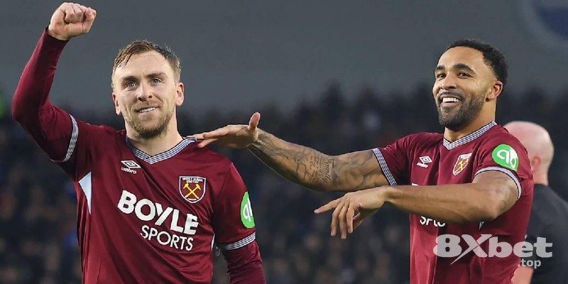 8XBET - review online