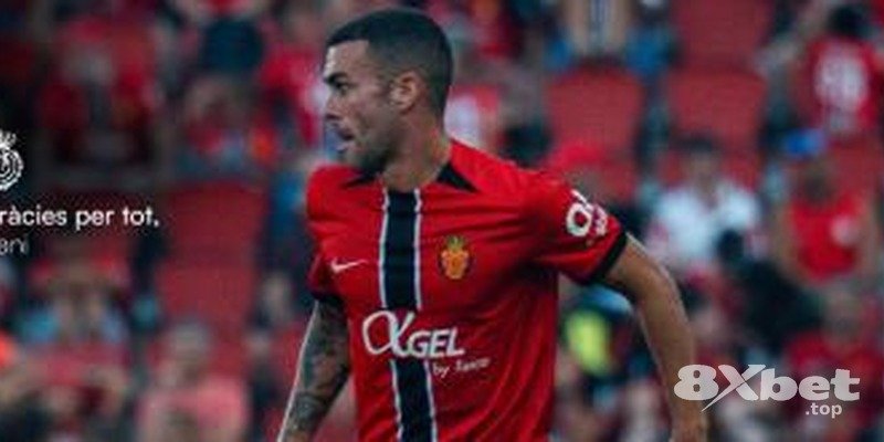 8XBET - thabet có lừa đảo không