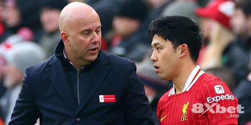 8XBET - trực tiếp bóng đá đêm nay